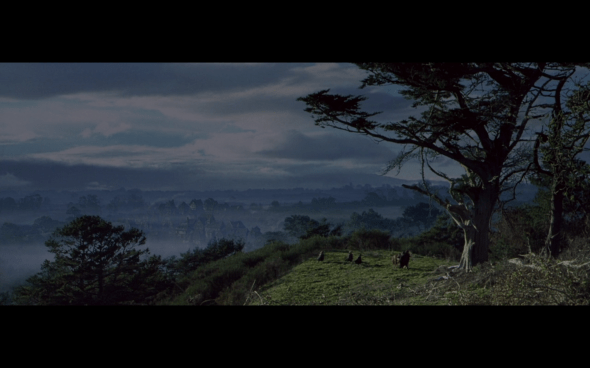 The Lord of the Rings The Fellowship of the Ring - 685