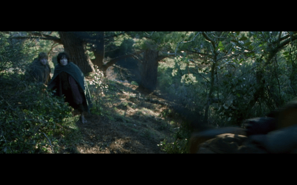 The Lord of the Rings The Fellowship of the Ring - 688