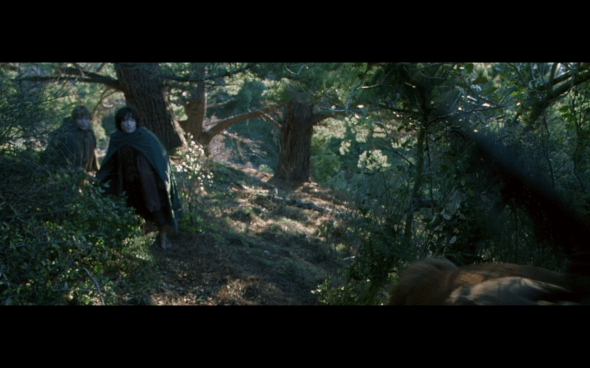 The Lord of the Rings The Fellowship of the Ring - 689