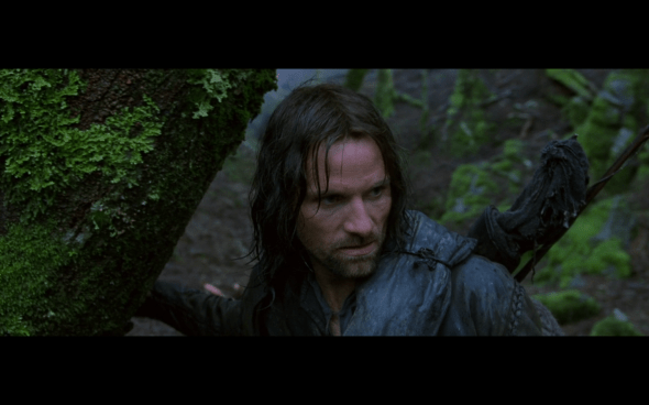 The Lord of the Rings The Fellowship of the Ring - 690