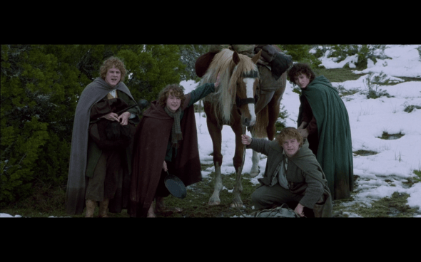 The Lord of the Rings The Fellowship of the Ring - 697