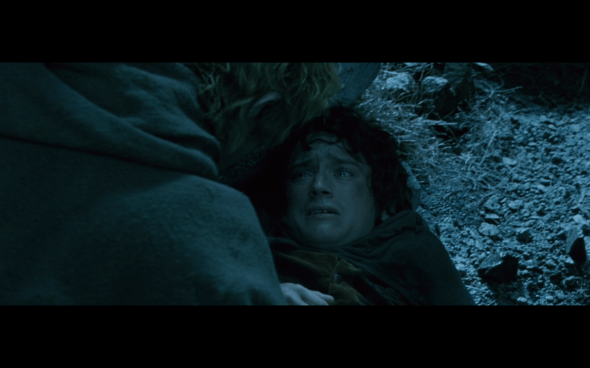 The Lord of the Rings The Fellowship of the Ring - 749