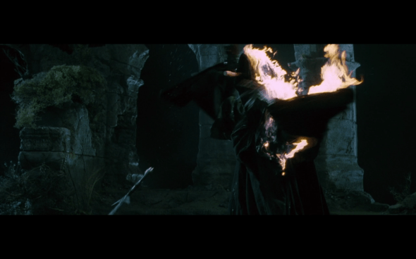 The Lord of the Rings The Fellowship of the Ring - 760