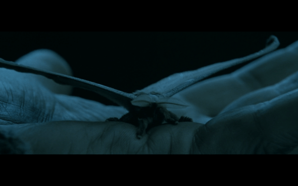 The Lord of the Rings The Fellowship of the Ring - 775