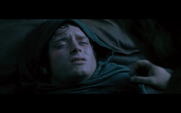 The Lord of the Rings The Fellowship of the Ring - 798