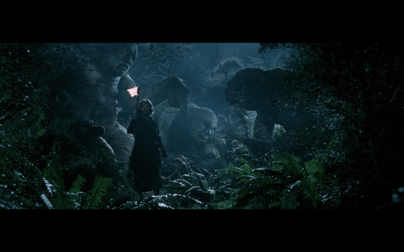 The Lord of the Rings The Fellowship of the Ring - 799