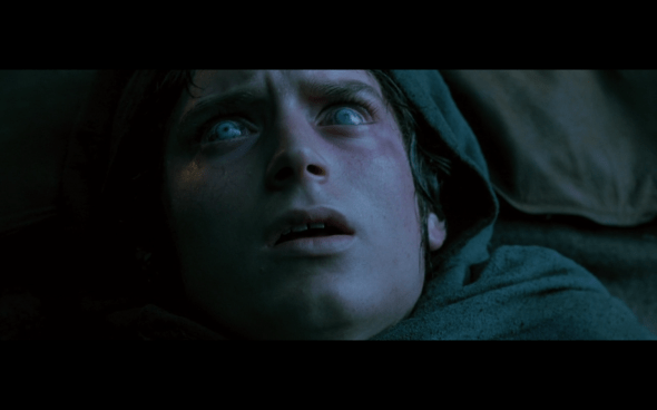 The Lord of the Rings The Fellowship of the Ring - 800