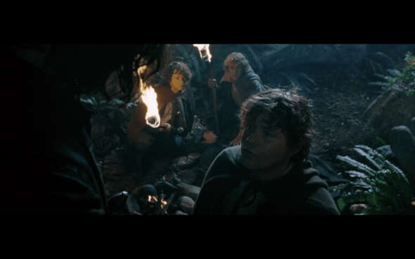 The Lord of the Rings The Fellowship of the Ring - 802