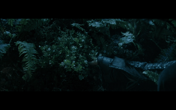 The Lord of the Rings The Fellowship of the Ring - 803