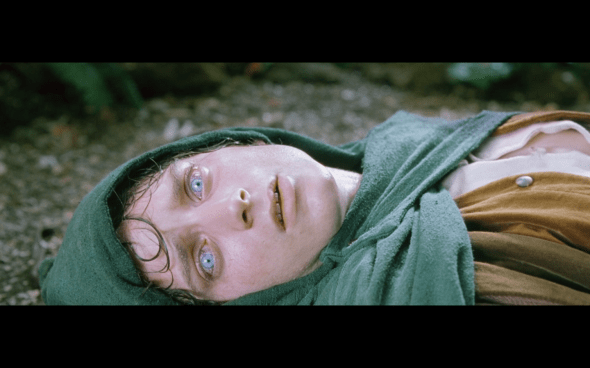 The Lord of the Rings The Fellowship of the Ring - 809