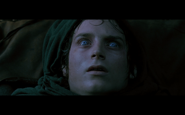 The Lord of the Rings The Fellowship of the Ring - 818