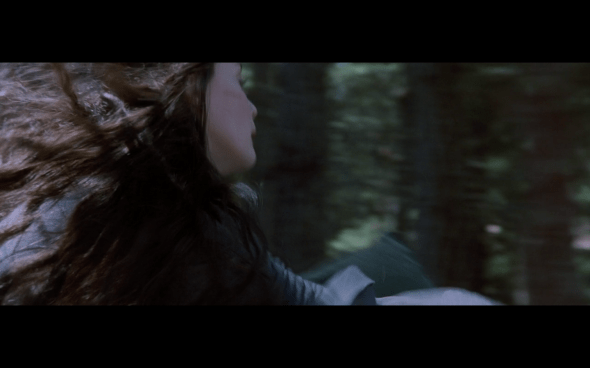 The Lord of the Rings The Fellowship of the Ring - 835