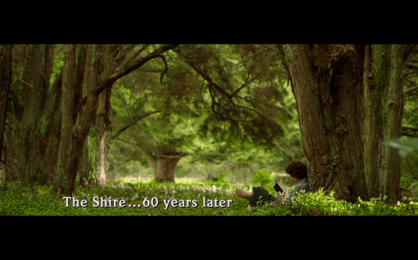 The Lord of the Rings The Fellowship of the Ring - 84