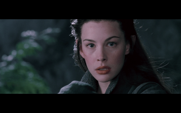 The Lord of the Rings The Fellowship of the Ring - 852