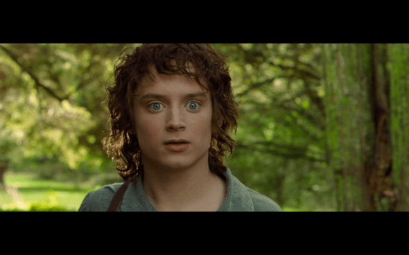 The Lord of the Rings The Fellowship of the Ring - 86