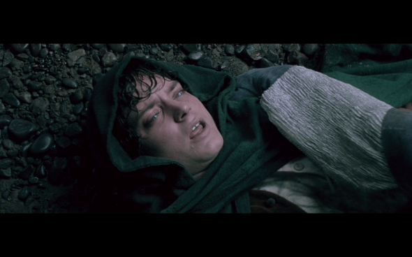 The Lord of the Rings The Fellowship of the Ring - 867