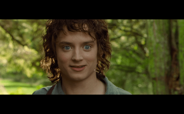 The Lord of the Rings The Fellowship of the Ring - 87