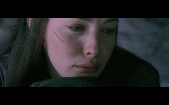 The Lord of the Rings The Fellowship of the Ring - 870