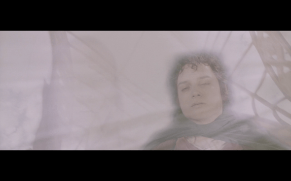 The Lord of the Rings The Fellowship of the Ring - 871