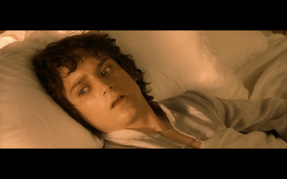 The Lord of the Rings The Fellowship of the Ring - 875