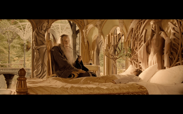 The Lord of the Rings The Fellowship of the Ring - 876