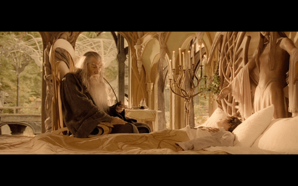 The Lord of the Rings The Fellowship of the Ring - 877