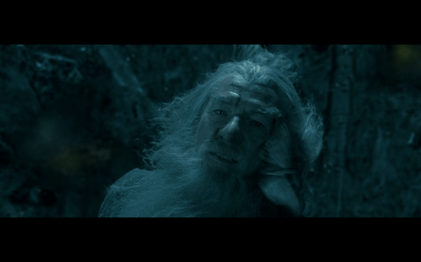 The Lord of the Rings The Fellowship of the Ring - 882