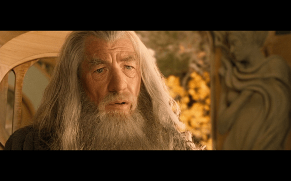 The Lord of the Rings The Fellowship of the Ring - 893