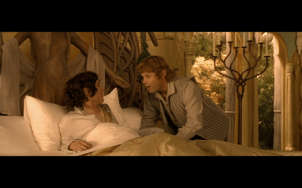 The Lord of the Rings The Fellowship of the Ring - 894