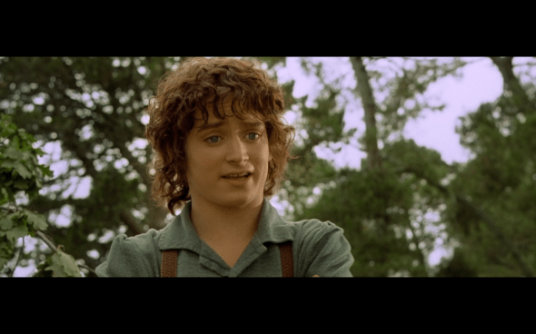 The Lord of the Rings The Fellowship of the Ring - 91