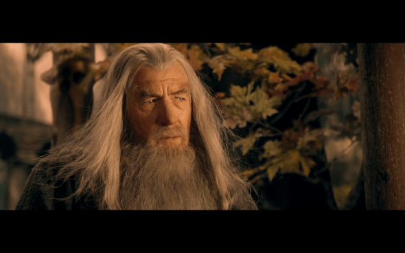 The Lord of the Rings The Fellowship of the Ring - 920
