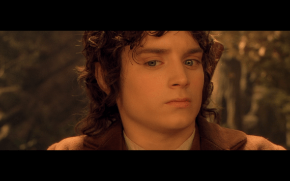 The Lord of the Rings The Fellowship of the Ring - 981