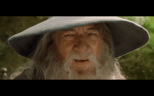 The Lord of the Rings The Fellowship of the Ring - 99