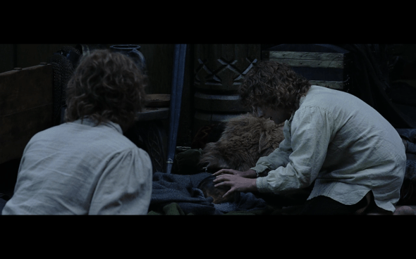 The Lord of the Rings The Return of the King - 113