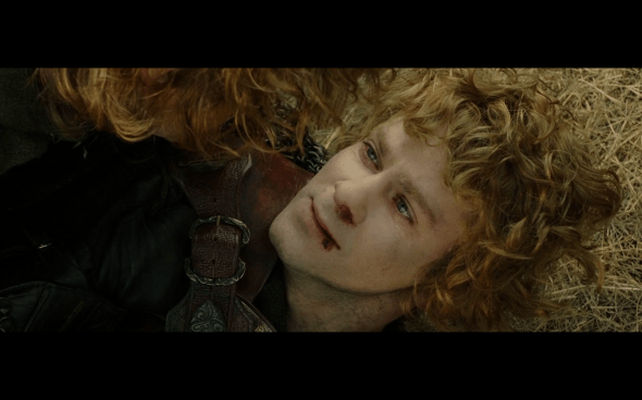 The Lord of the Rings The Return of the King - 1259