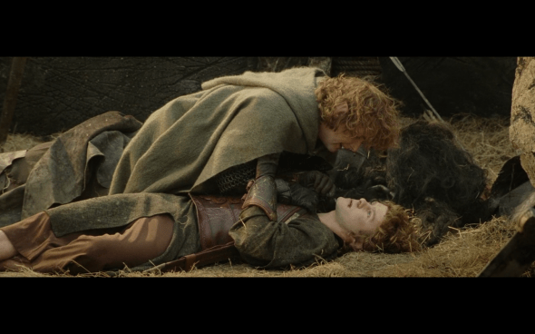 The Lord of the Rings The Return of the King - 1260