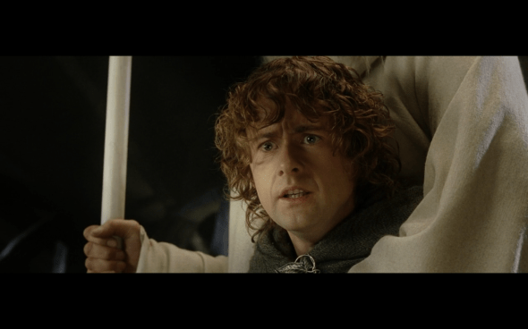 The Lord of the Rings The Return of the King - 149