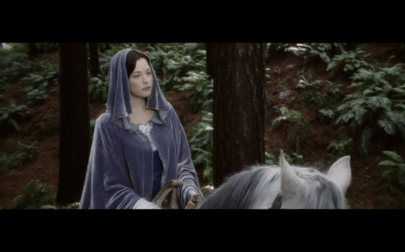 The Lord of the Rings The Return of the King - 154