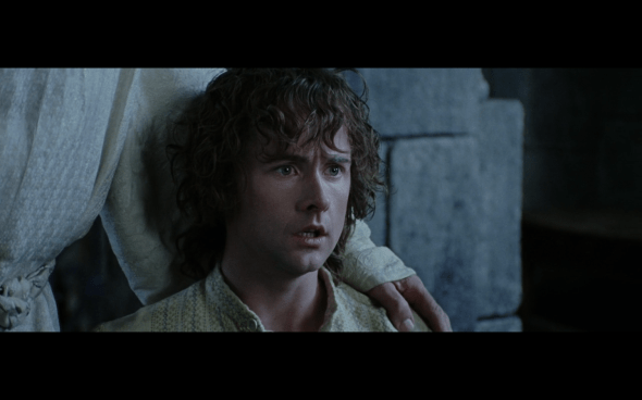 The Lord of the Rings The Return of the King - 266