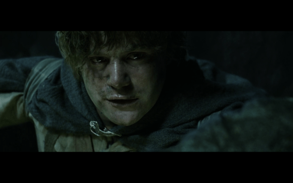 The Lord of the Rings The Return of the King - 401