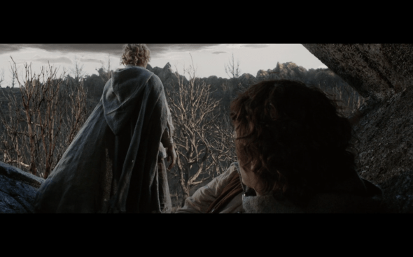 The Lord of the Rings The Return of the King - 41