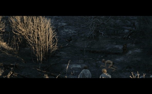 The Lord of the Rings The Return of the King - 43