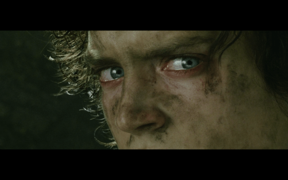 The Lord of the Rings The Return of the King - 468