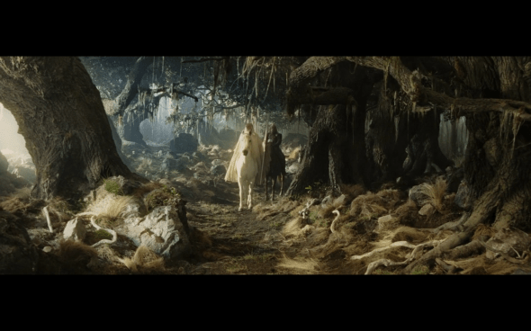 The Lord of the Rings The Return of the King - 49