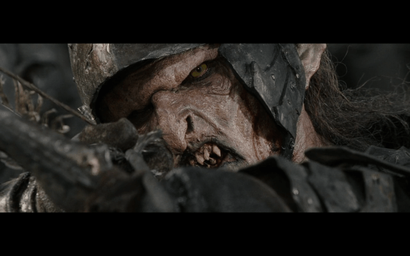 The Lord of the Rings The Return of the King - 511