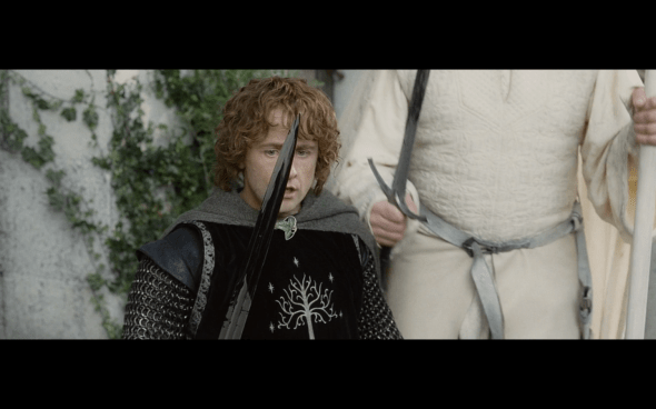 The Lord of the Rings The Return of the King - 772