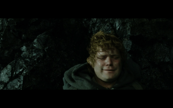 The Lord of the Rings The Return of the King - 793