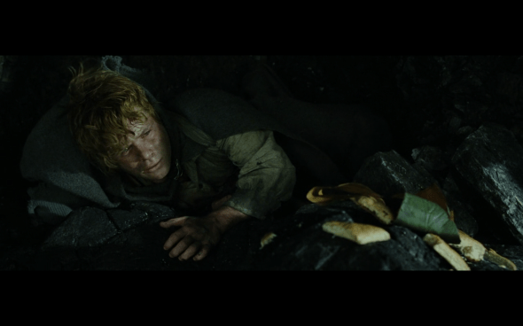 The Lord of the Rings The Return of the King - 794