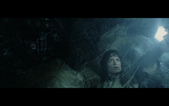 The Lord of the Rings The Return of the King - 802