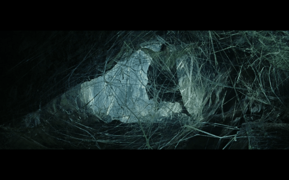 The Lord of the Rings The Return of the King - 810